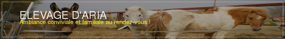 ELEVAGE D'ARIA